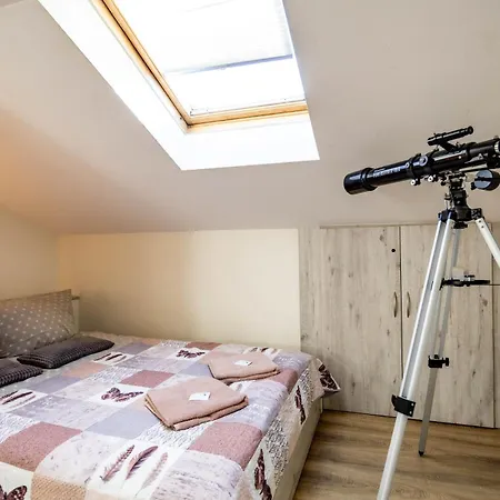 Voal Mini לובלין